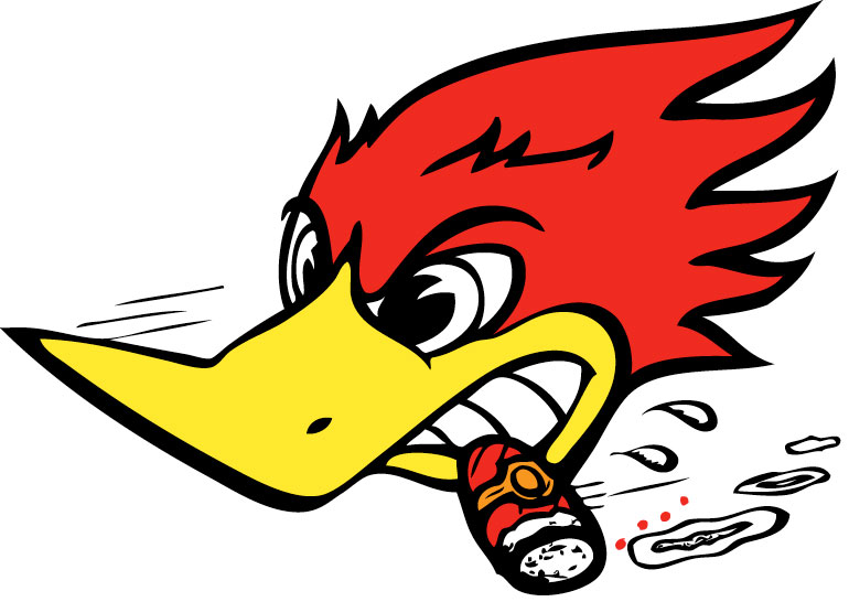 Woody Woodpecker Racing Logo Photo 11 Gambar Animasi Kartun